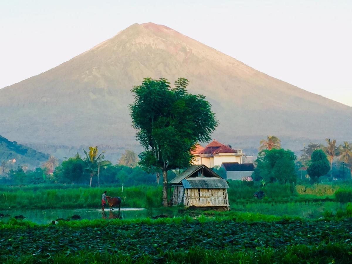 D'Uma Amed Homestay Ngoại thất bức ảnh