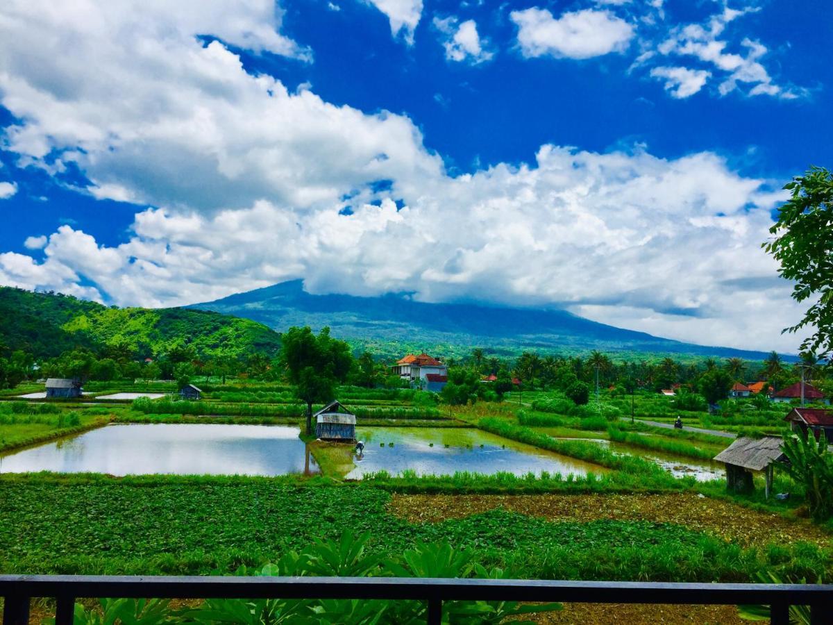 D'Uma Amed Homestay Ngoại thất bức ảnh